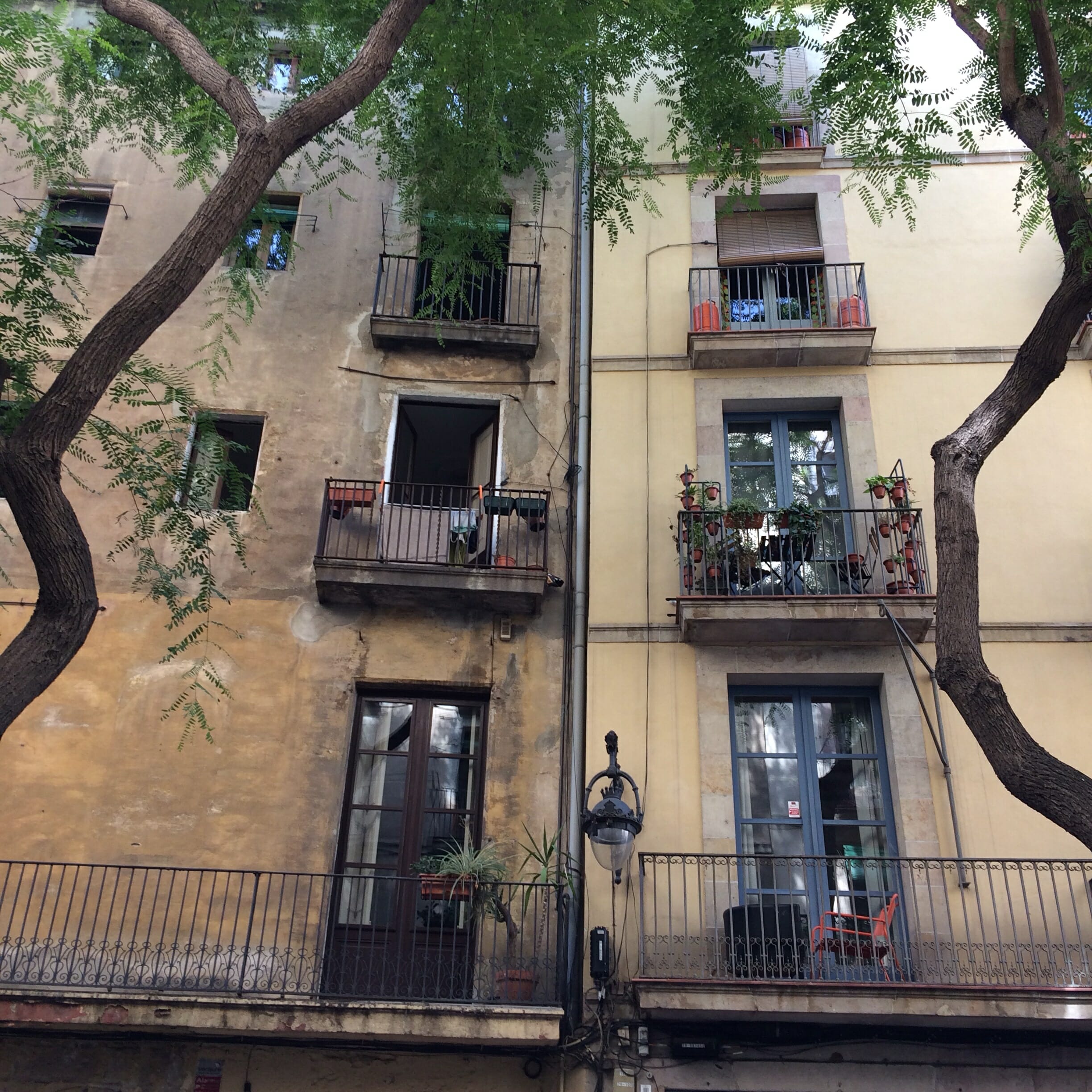 Two adjoining apartment building facades with balconies, shutters, and potted plants, framed by tree branches in warm weathered tones