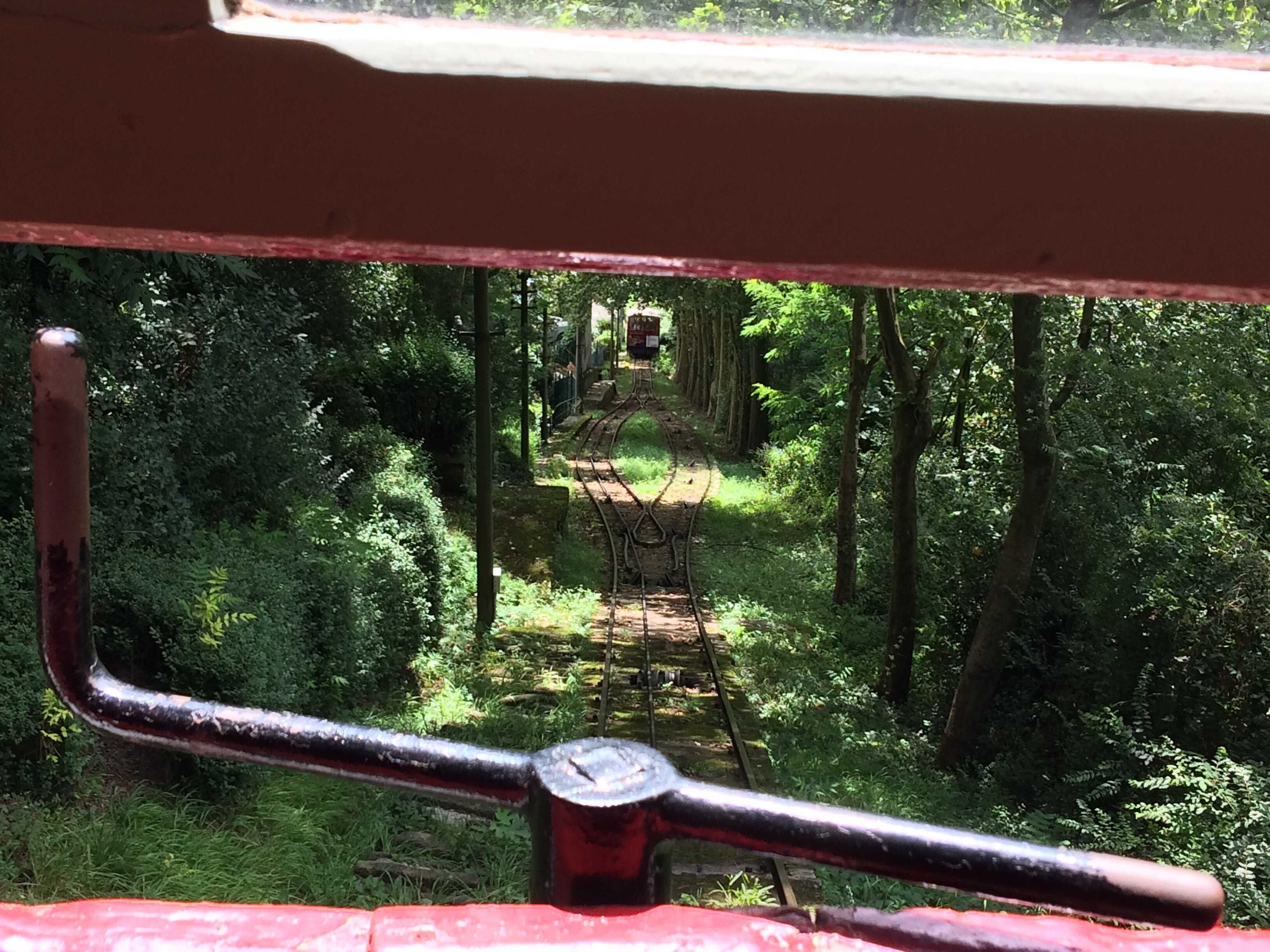 View through a vintage tram window looking down tree-lined tracks in a forested setting, capturing the charm of local transit.